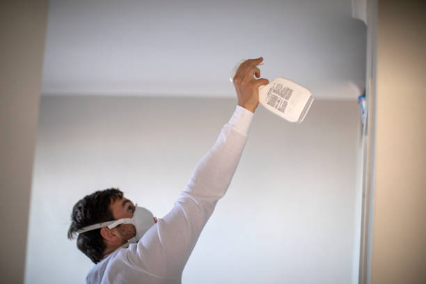 Attic Mold Removal in Xenia, OH