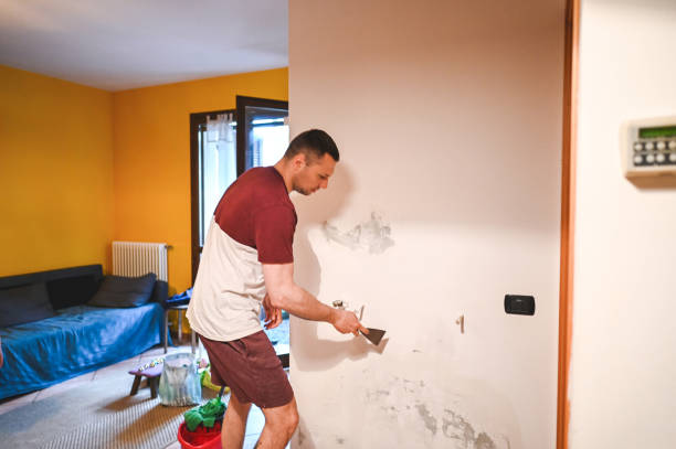 Best Local Mold Removal Service  in Xenia, OH